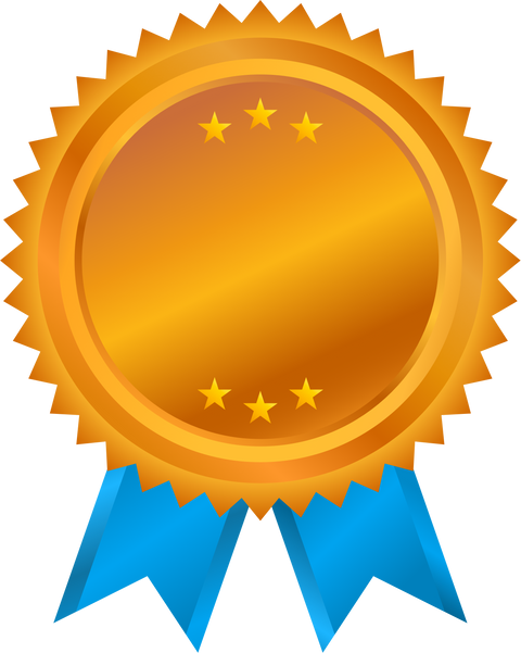 Bronze award medal with ribbon